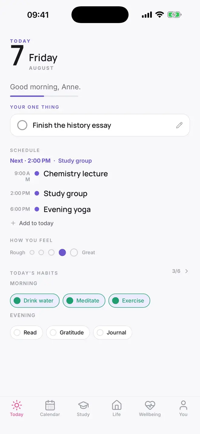 The Today screen: one focus task, the day's schedule, a mood check and today's habits